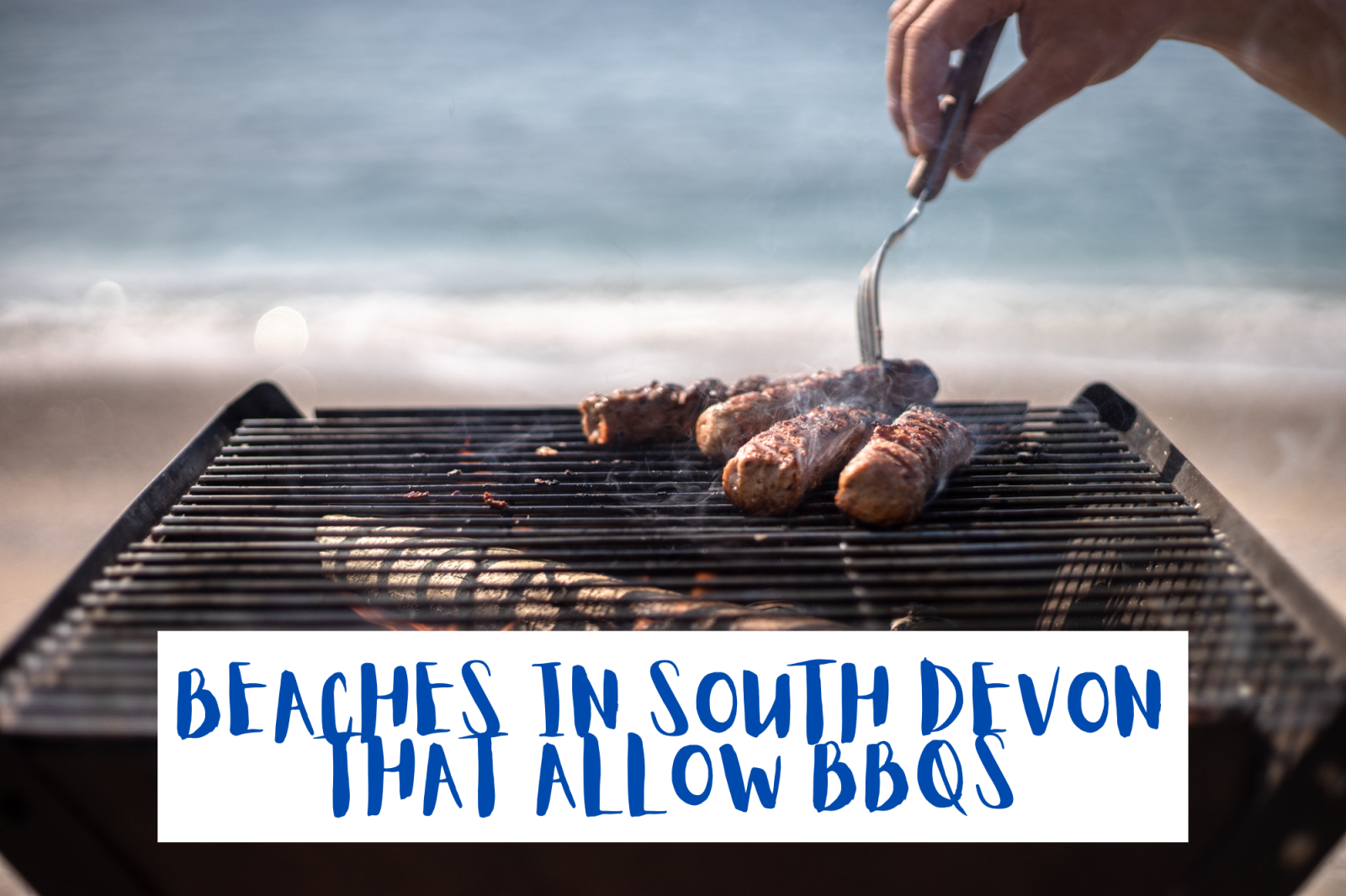 Beaches in South Devon that permit BBQs